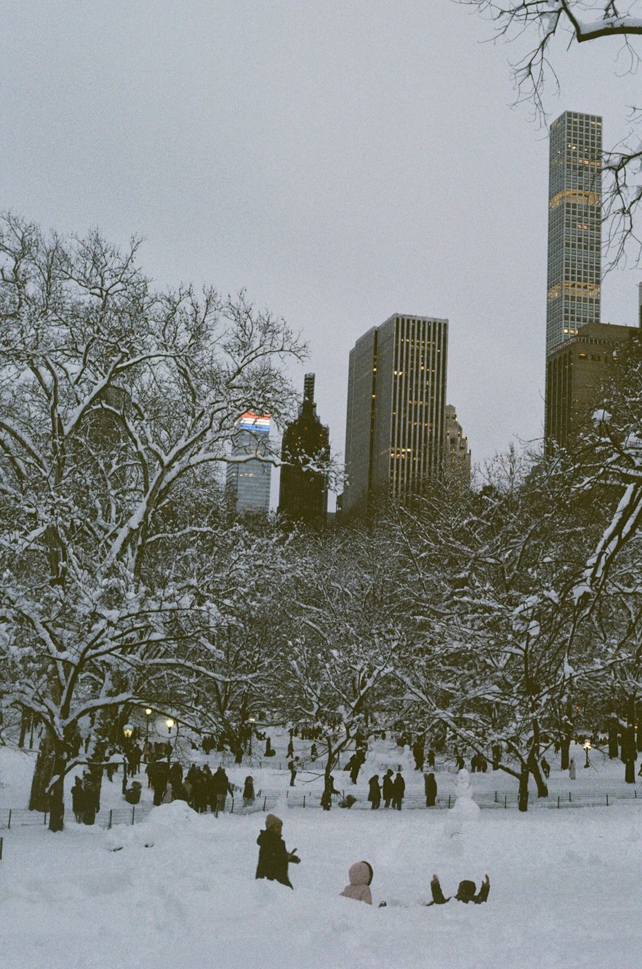 Central Park skyline after a snowstorm