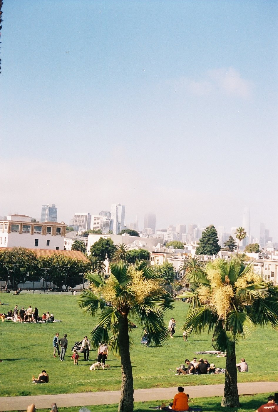 A park with palm trees and the city skyline