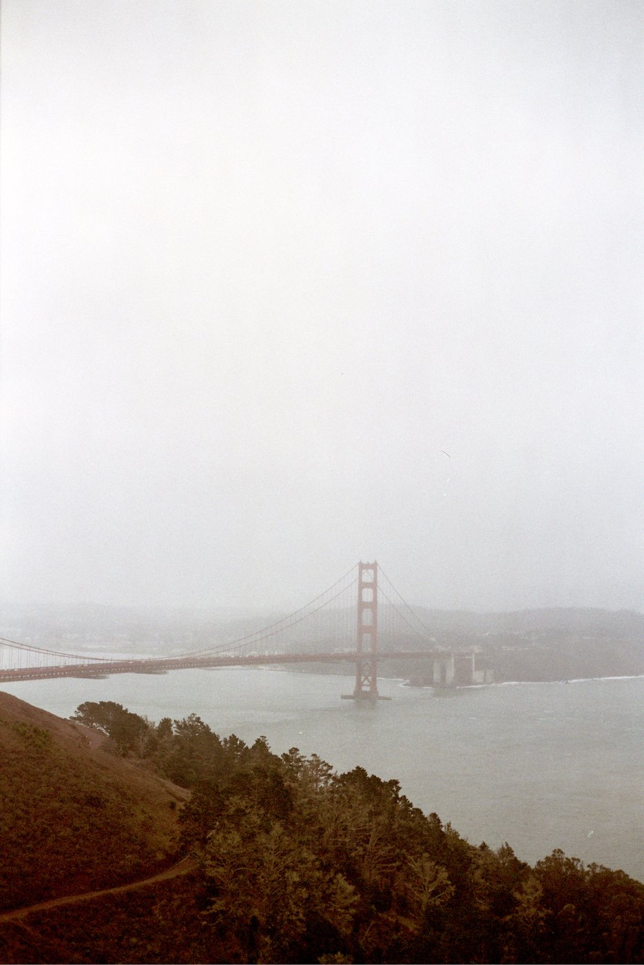 Two people on a foggy hilltop overlooking the coast