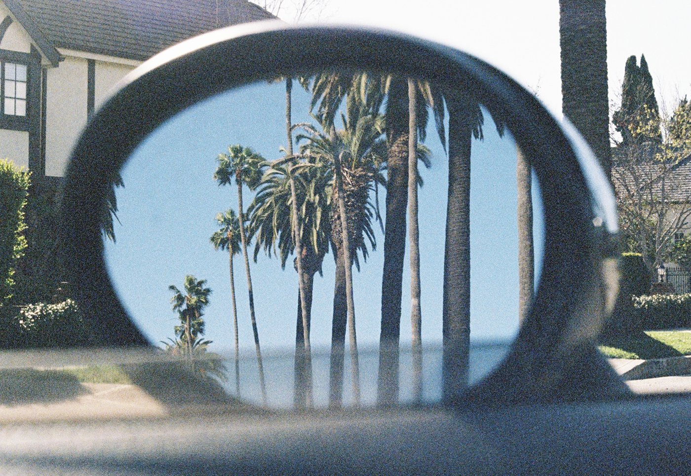 Palm trees reflected in a round mirror sculpture
