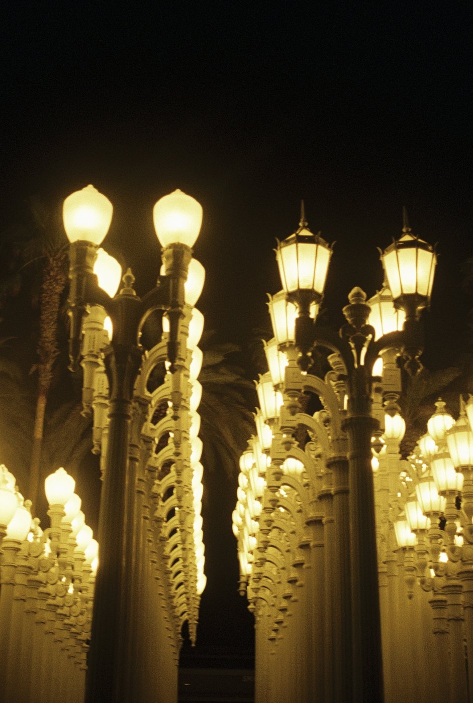 Rows of lamp posts lit up at night, LACMA's Urban Light