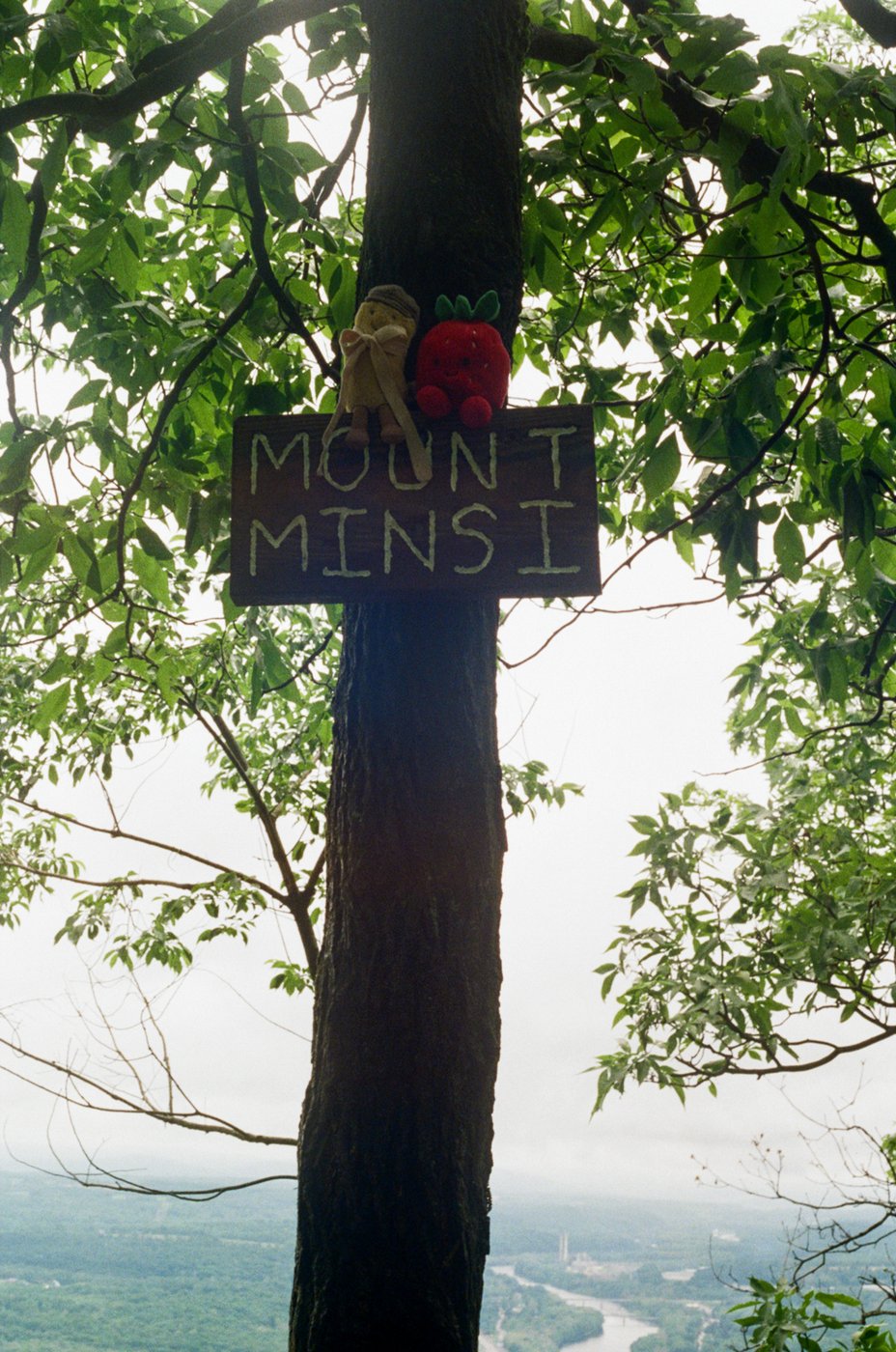 Mount Minsi trail sign nailed to a tree