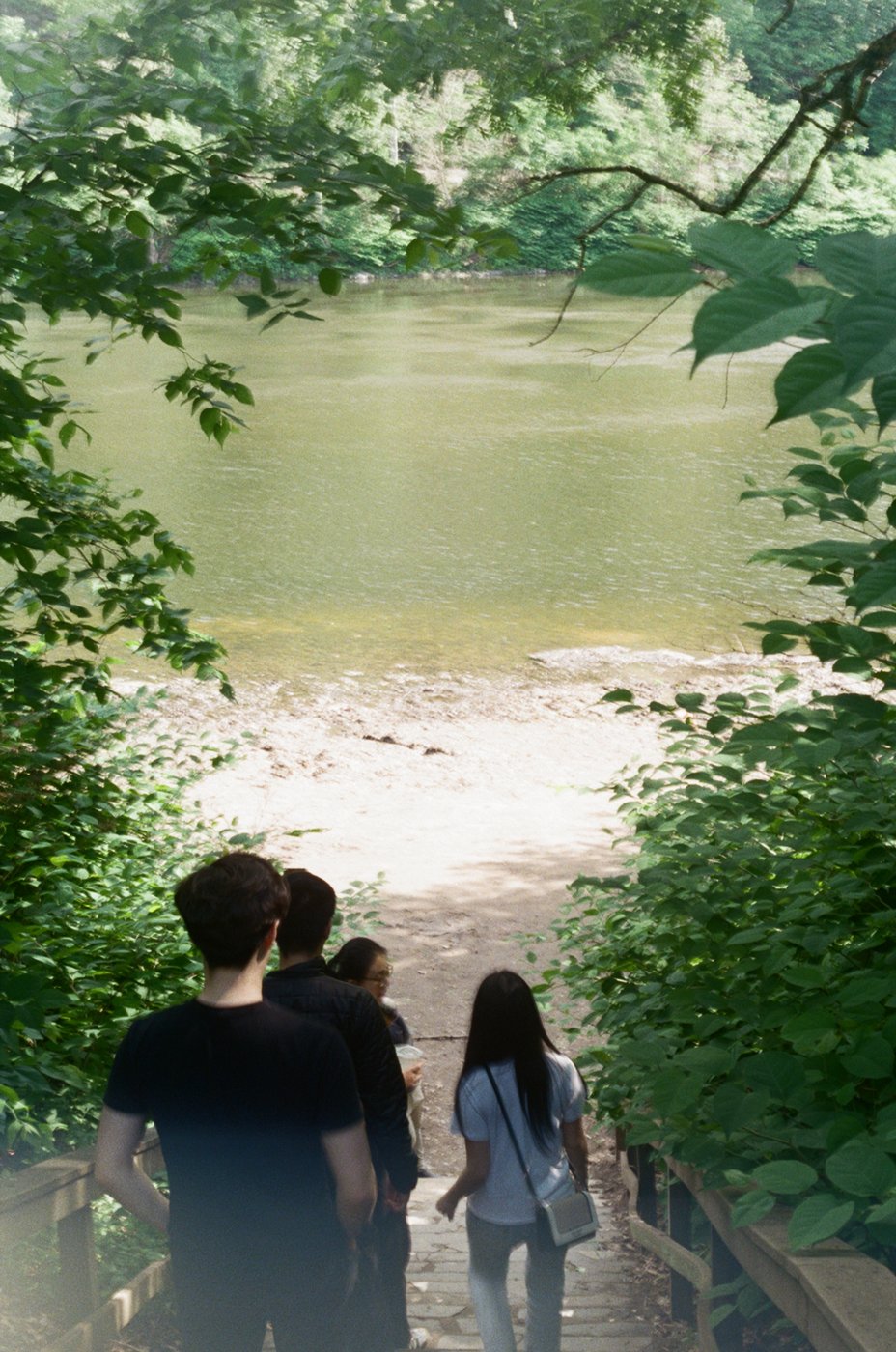 Friends walking down steps toward the water