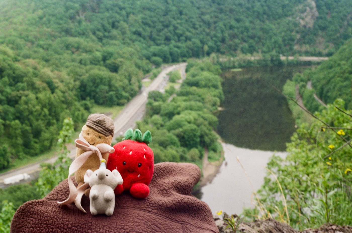 Overlook of the Delaware River bending through the Water Gap